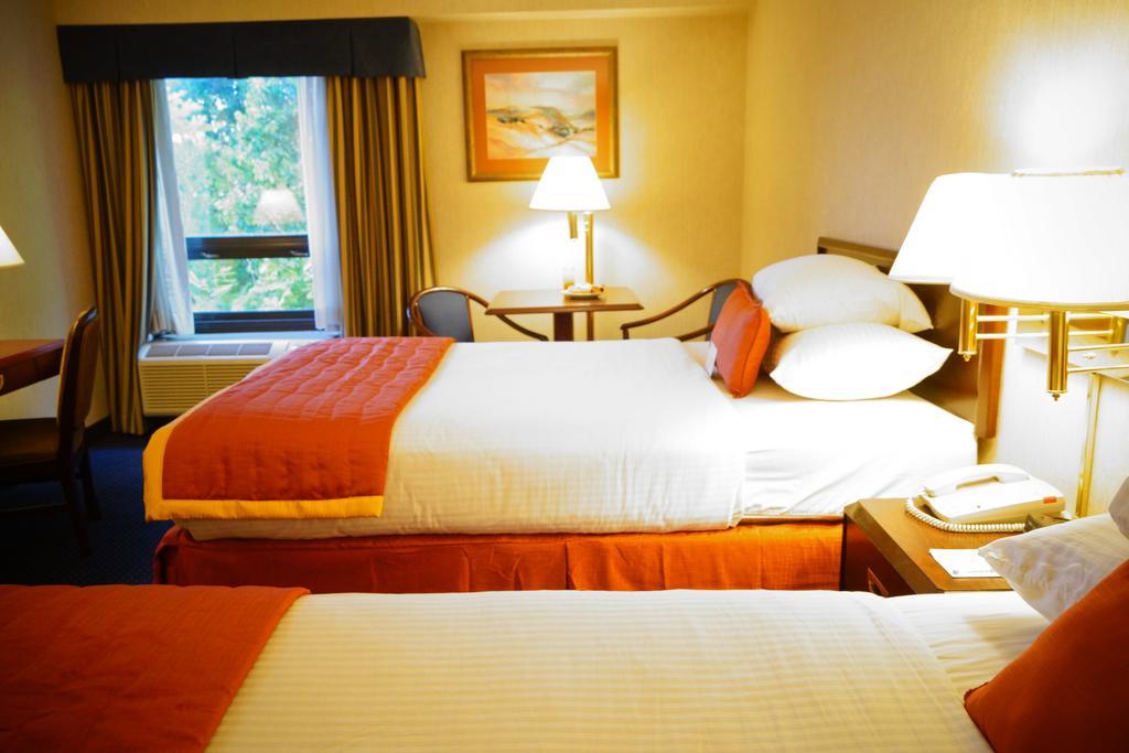 Wyndham Garden Monterrey Norte San Nicolás de los Garzas Kültér fotó
